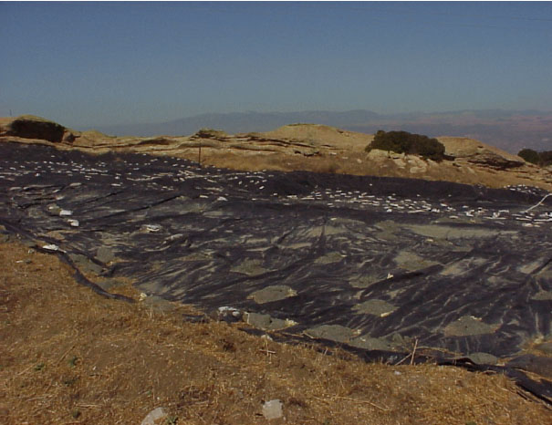 Figure   8. Site of former Sodium Disposal Facility.