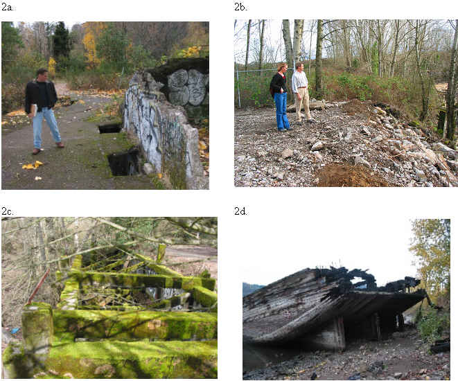 Examples of upland hazards at Willamette Cove