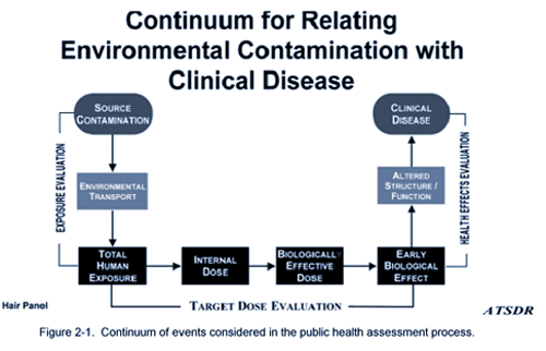Figure 2-1.  Continuum of events considered in the public health assessment process.