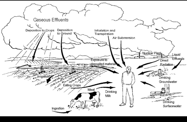 Figure 5. Potential Exposure Pathways from the SSFL to Man.