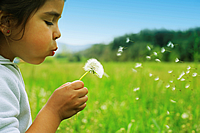 Child holding a flower in a clean environment