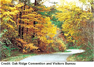Photo of Oak Trees in the Fall - Credit: Oak Ridge Convention and Visitors Bureau