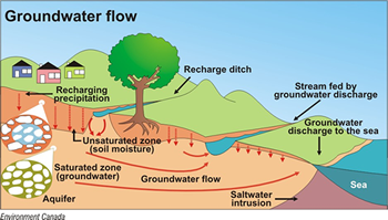 Groundwater Flow Diagram - Source: Environment Canada