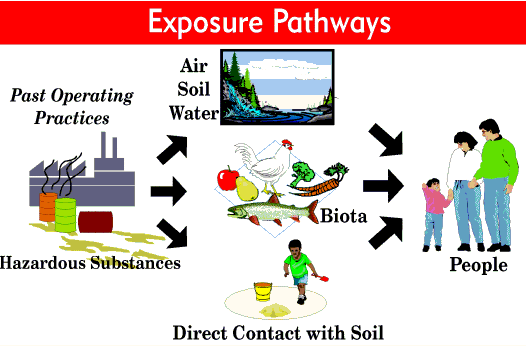 exposure pathways