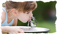 child drinking water from a water fountain