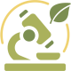 Custom icon shows illustrated microscope and green leaf in yellow and green colors Custom icon shows illustrated microscope and green leaf in yellow and green colors