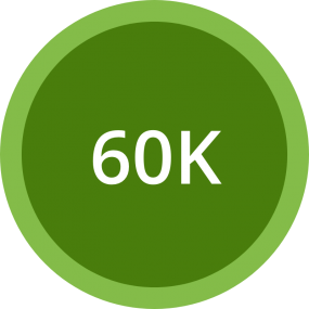 The number of 60,000 shown in a green circle.