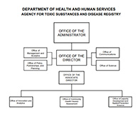 org_chart_thumb