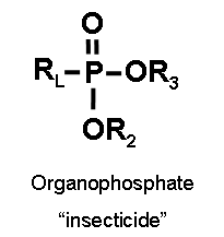 insecticide