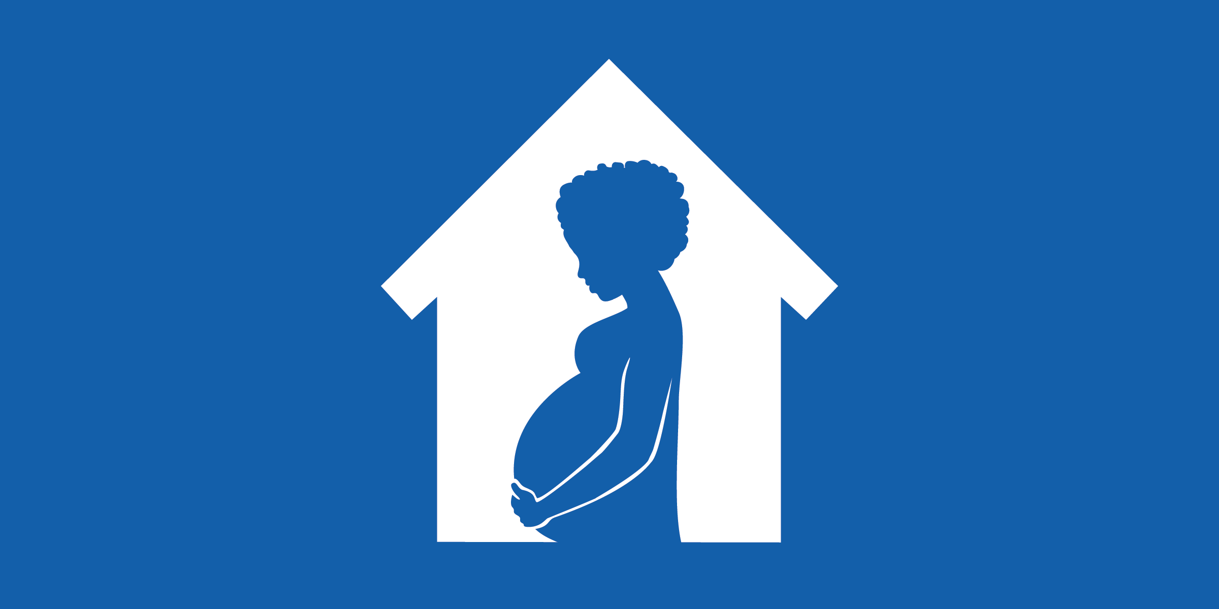 Prenatal Assessment of Environmental Risk (PAER)- In the Home