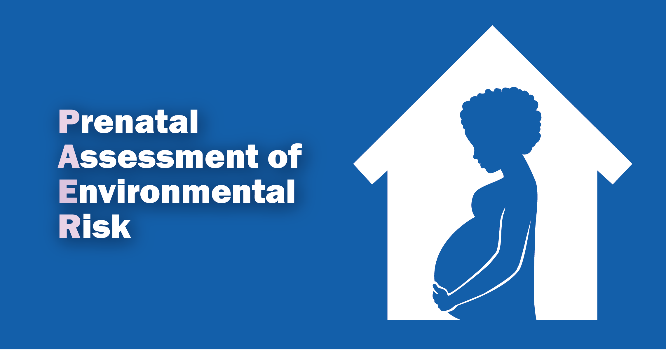 Prenatal Assessment of Environmental Risk (PAER)