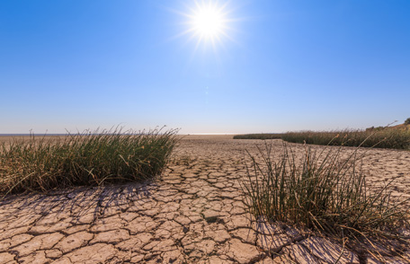 Las sequías y su salud | Especiales CDC - CDC en Español