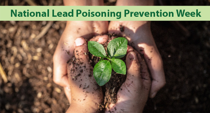 National Lead Poisoning Prevention Week. Closeup hands holding a young plant.