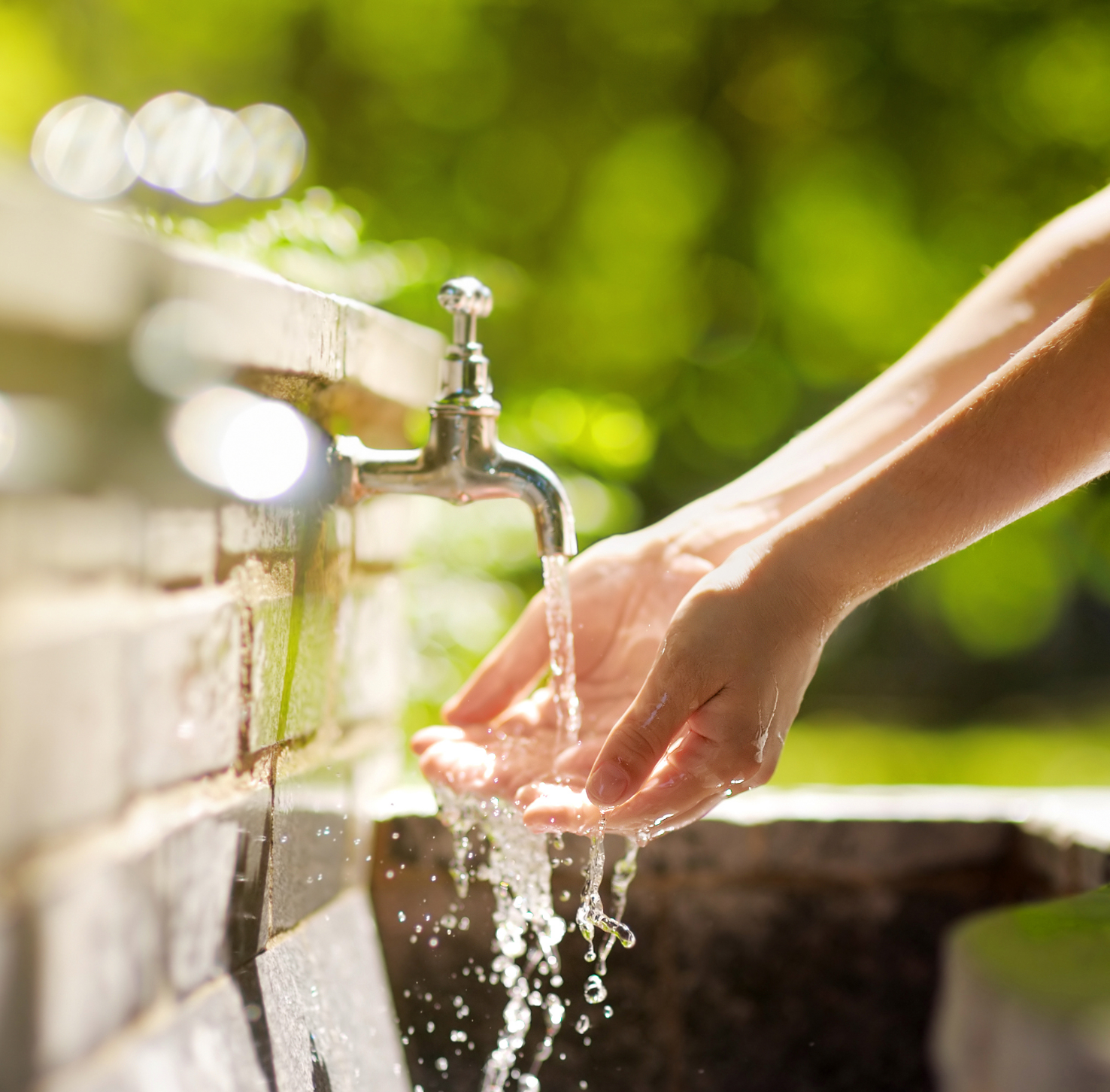 Pease Study Two hands washing in an outdoor sink made of brick with greenery in the background.