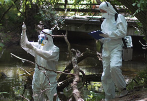 First Responders at an environmental disaster. First responders working on environmental disaster near a river.