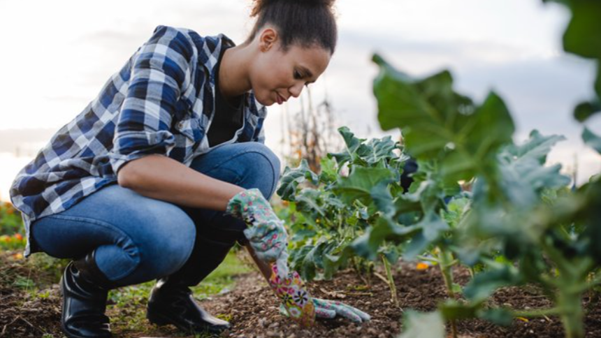 woman gardening Woman gardening and touching soil.