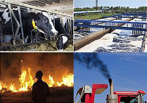 four photos - Where do environmental odors come from? four photos - Where do environmental odors come from?