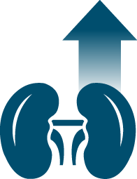 icon of Kidney