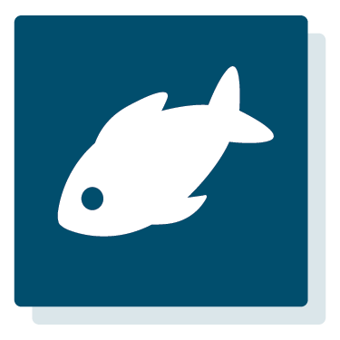 icon of fish