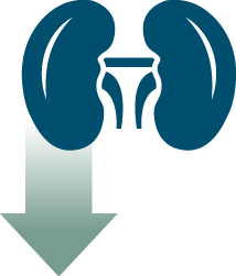 Arrow pointing down next to a kidney