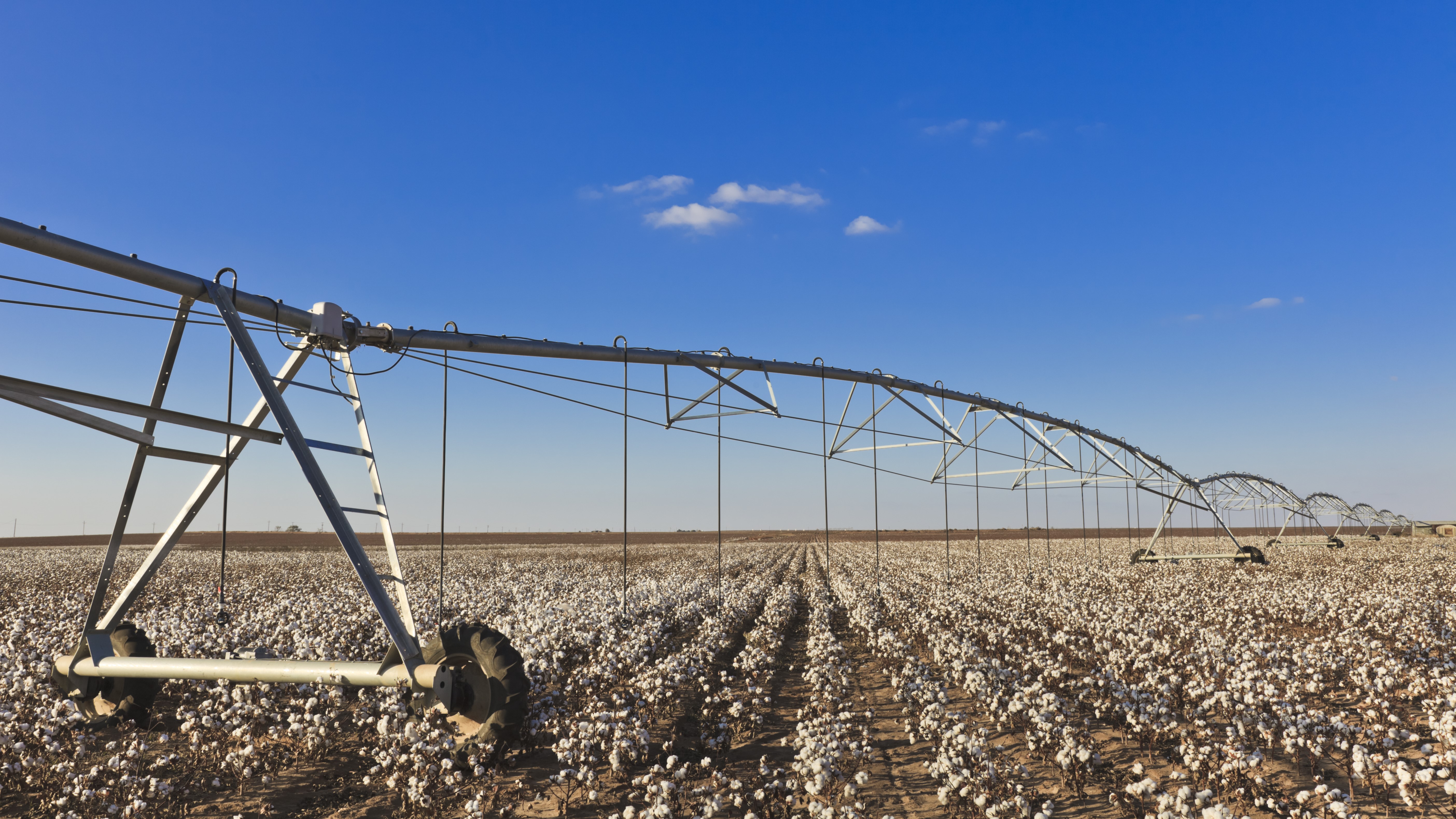 Lubbock-County-Picture irrigation equipment in cotton field