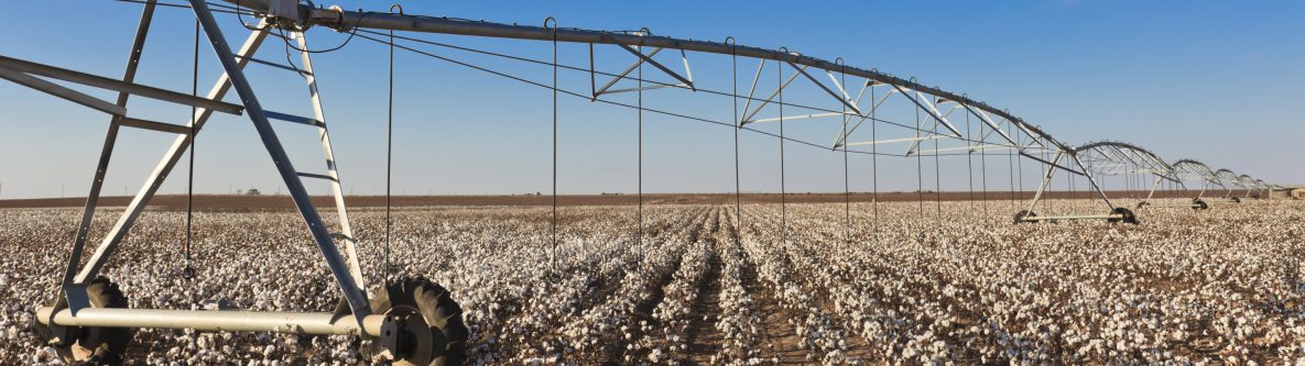 pivot circle irrigation equipment in cotton field pivot circle irrigation equipment in cotton field