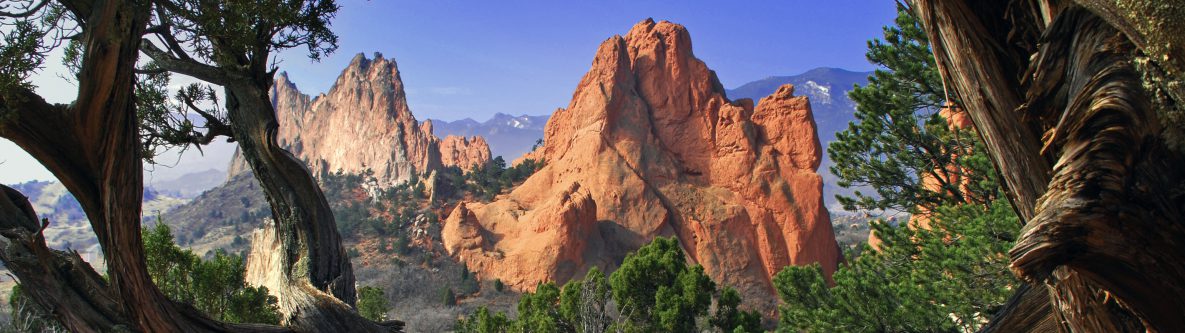 Garden of the Gods framed by twisted Juniper Trees