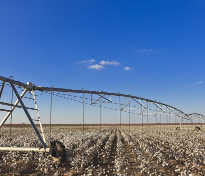 Pivot circle irrigation equipment in cotton field