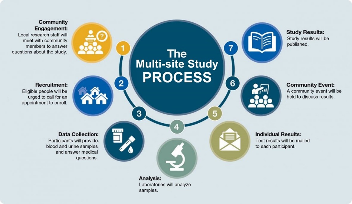 Graphic: The Multi-site Study Process