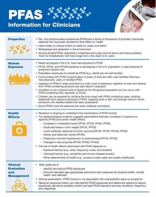 PFAS Information for Clinicians - 2024