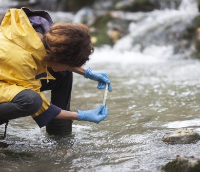 Scientist Ecologist Taking a Water Sample in the Forest