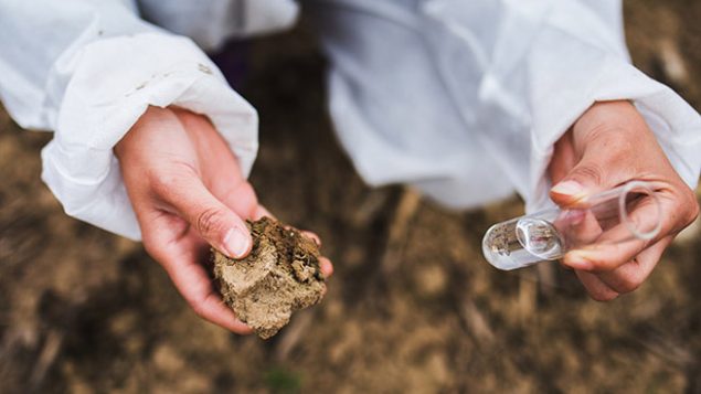 Muestreo ambiental