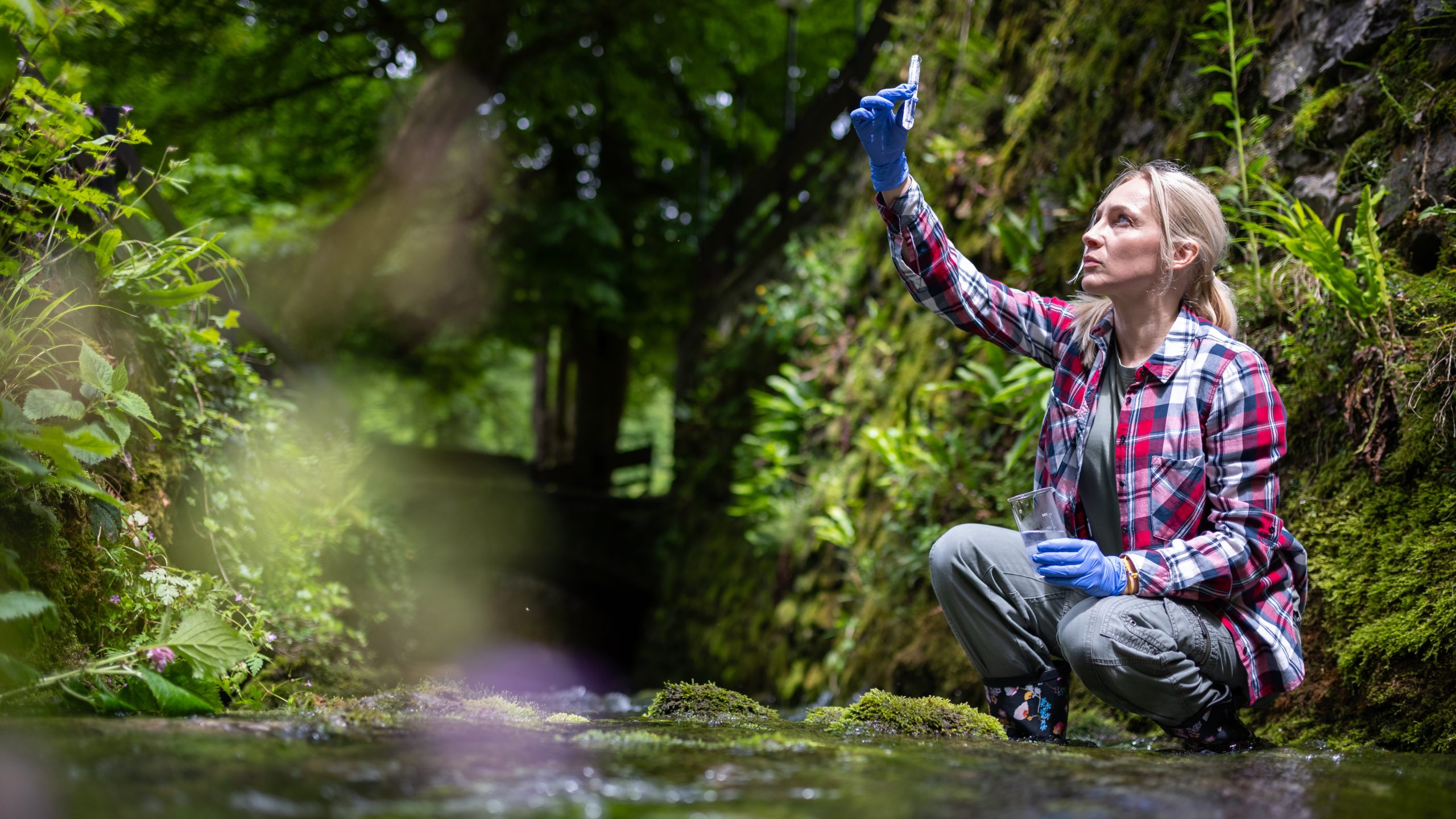 A woman taking water sample from a stream for environmental pollution study.