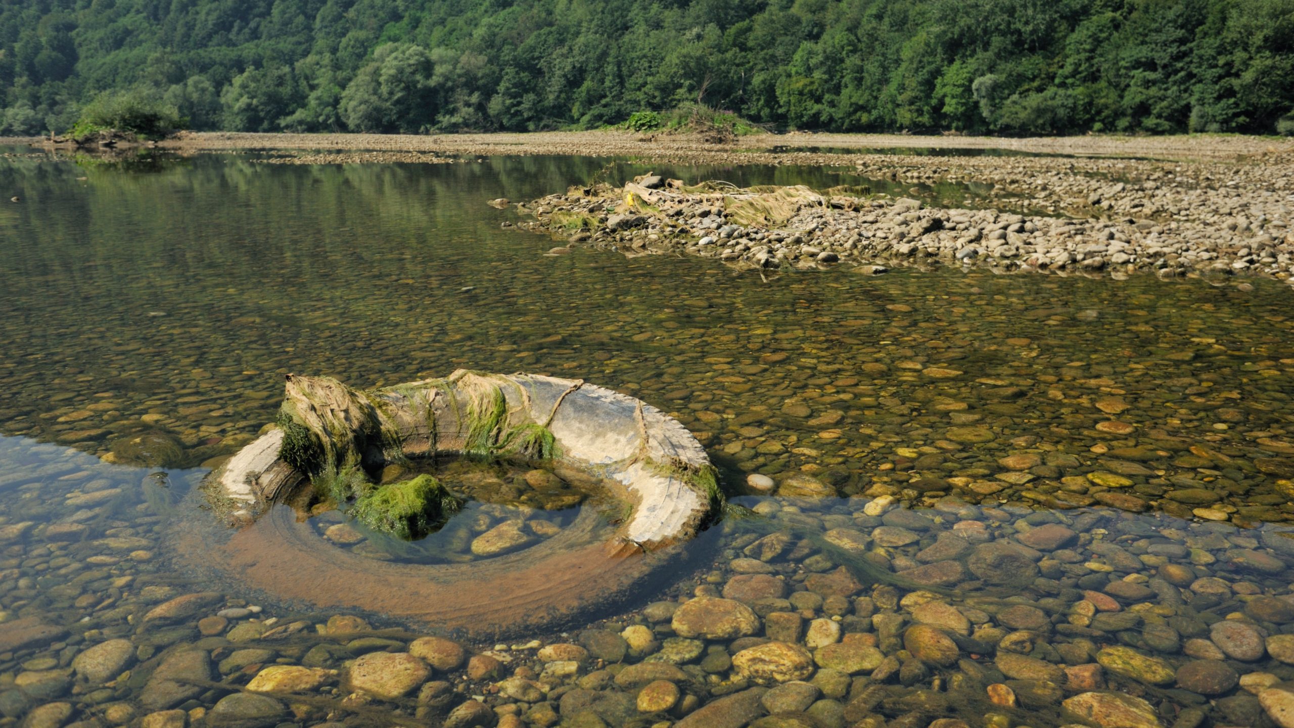 Tire submerged in water