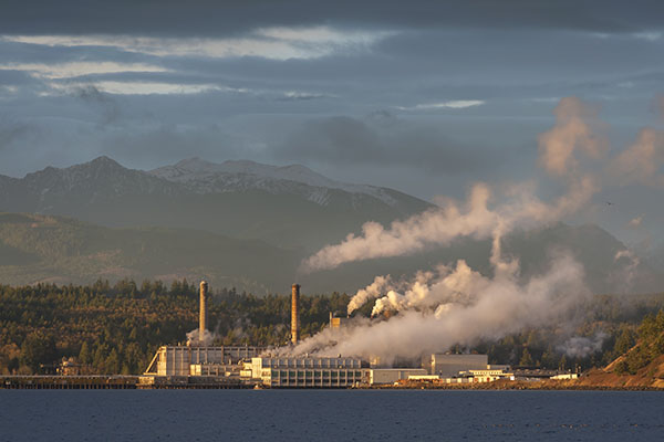 Pulp mill along lake with smoke billowing from smokestacks