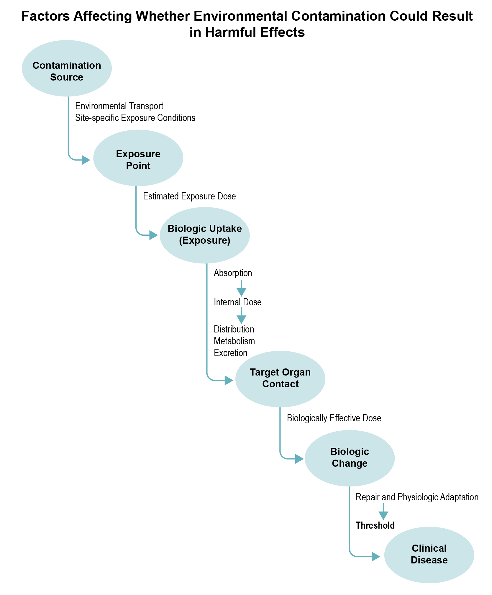 Flow diagram showing factors affecting whether environmental contamination could result in harmful effects