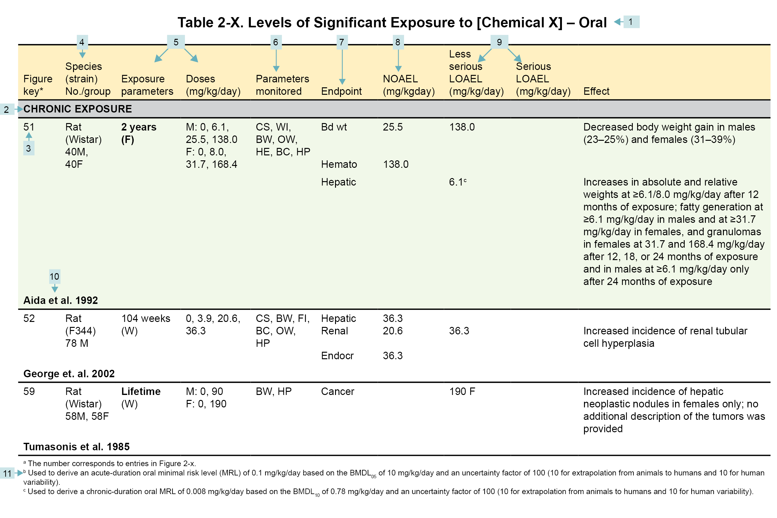 This is an example LSE table. The legend notes below explain the content.