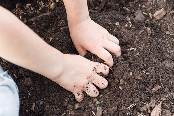 A child's hands in dirt