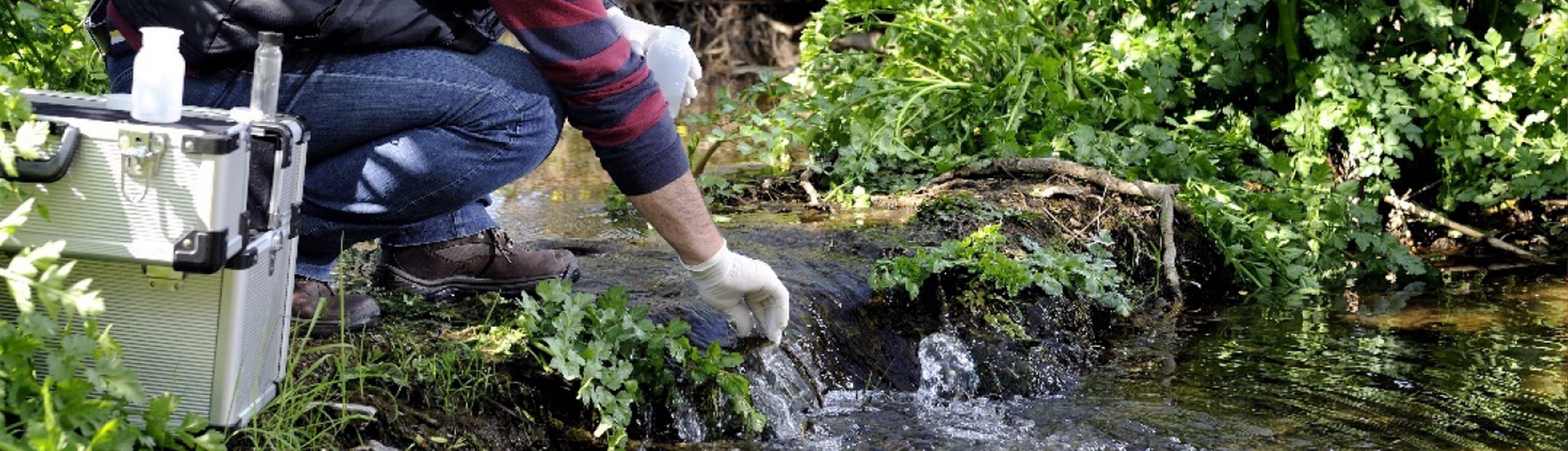 A person with gloves on bending over and collecting a water sample from a stream