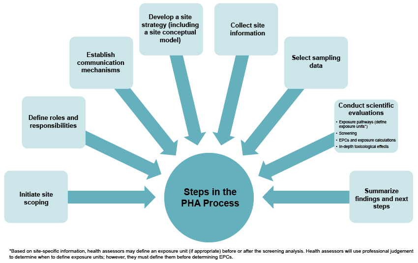 Diagram showing the eight steps in the PHA Process.