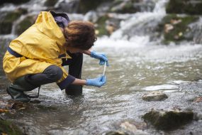 Scientist Ecologist Taking a Water Sample in the Forest