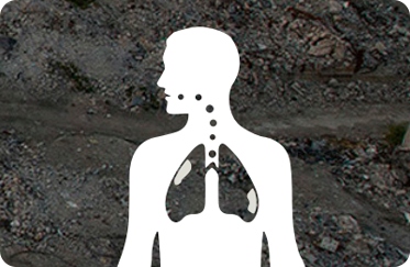 vector graphic showing a person's lung