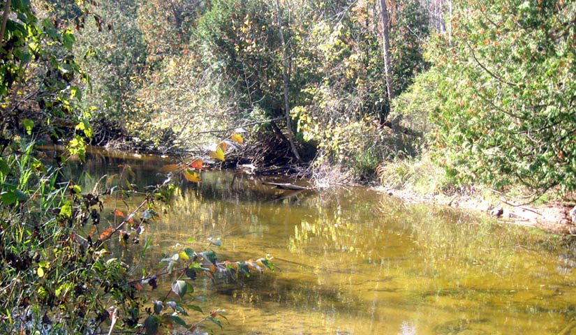 picture of coldwater creek