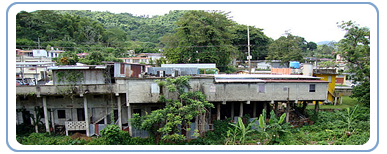 Papelera Puertorriqueña,  Inc. (PPI) Site