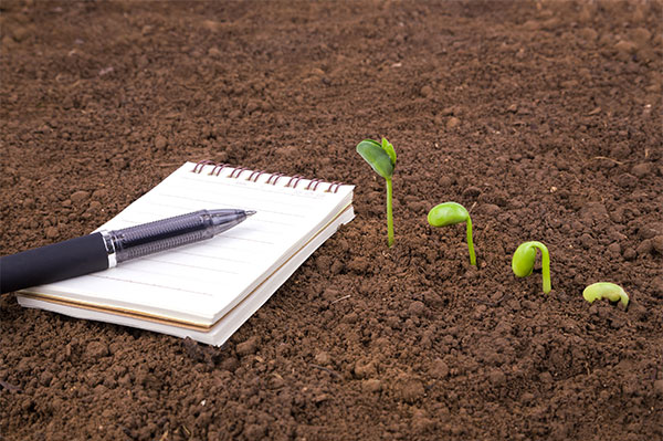 A notebook and pen laying on soil next to growing plants ready to start planning a soilSHOP event.
