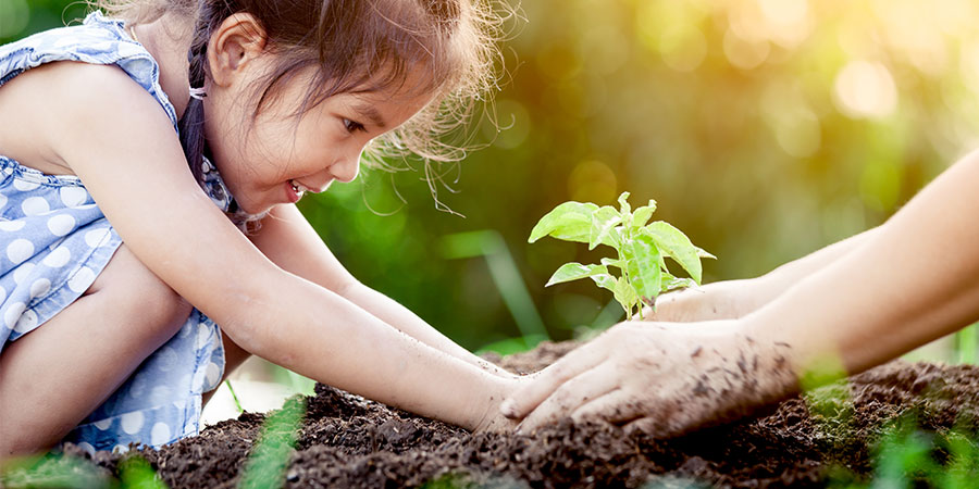 A little girl planting a tree on soil.