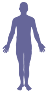 Billing blog: body silhouette