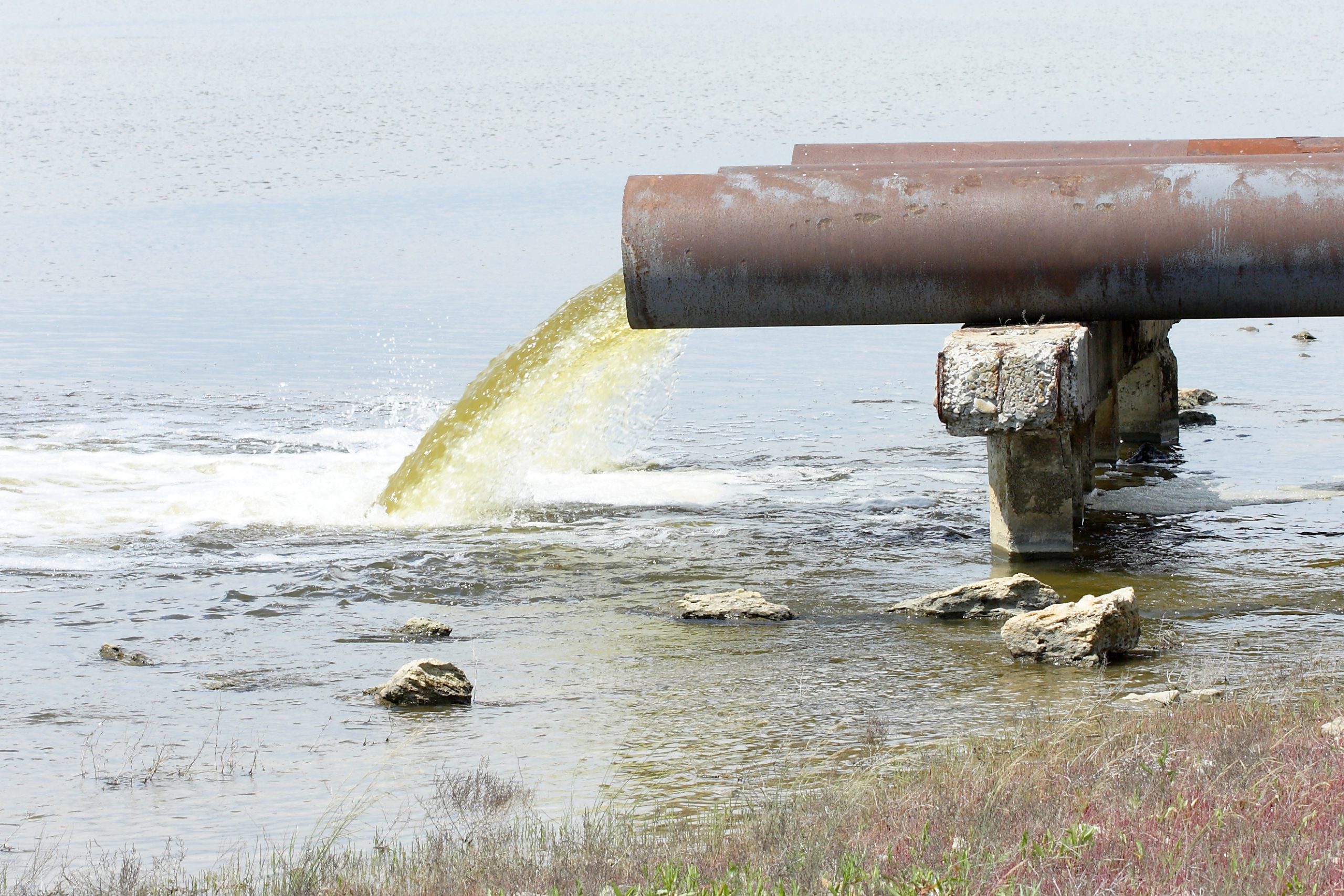 sewage sewage